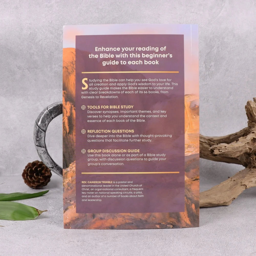 Beginner's Bible Study Guide: An Introduction to All 66 Books of the Bible