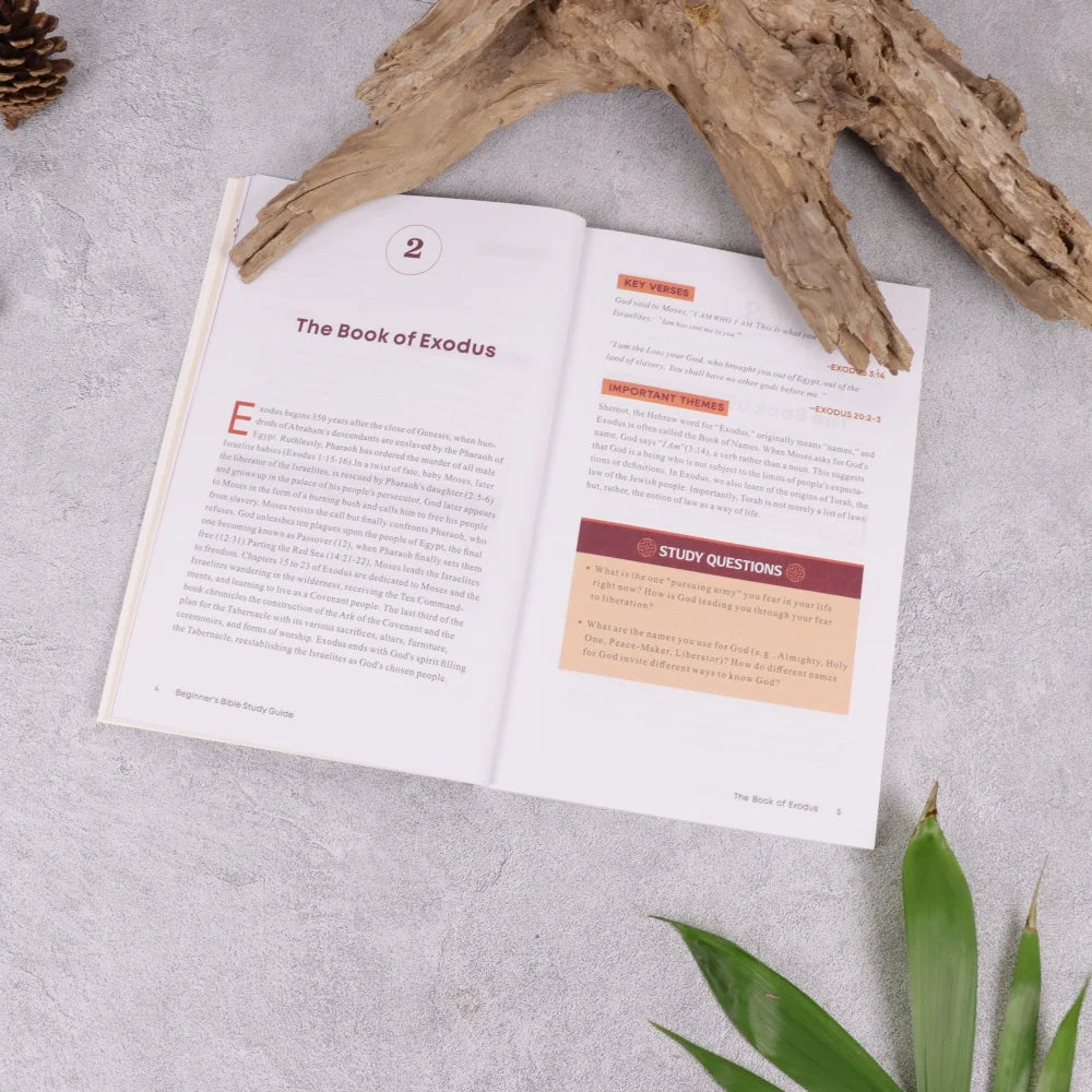 Beginner's Bible Study Guide: An Introduction to All 66 Books of the Bible
